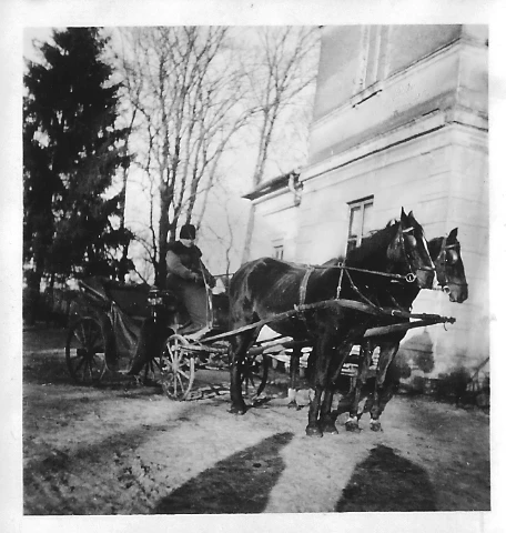 Historia Dworu w Rylsku Dużym